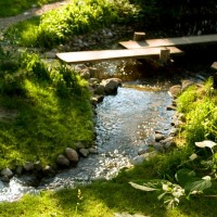 japanese_garden_belgrade