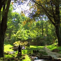 japanese_garden_jevremovac_belgrade